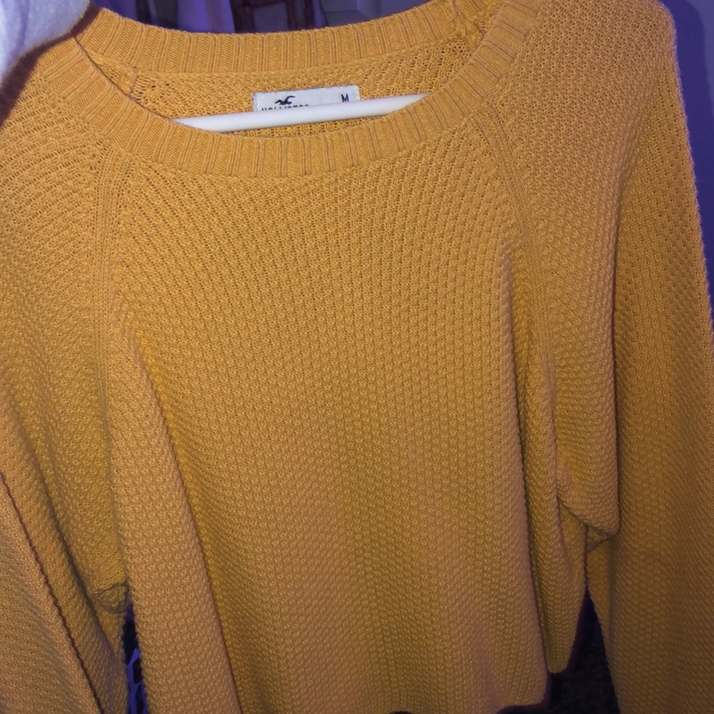 hollister sweater